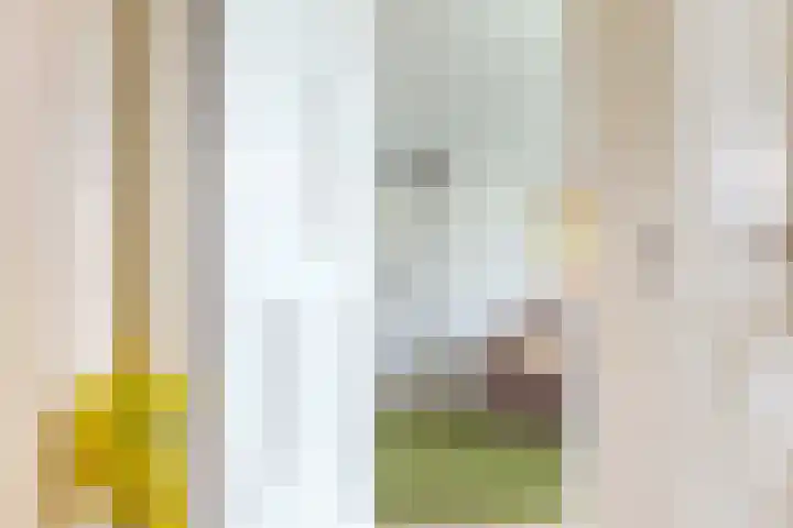 Hertenkampsweg 22 Vaassen thumbnail 24