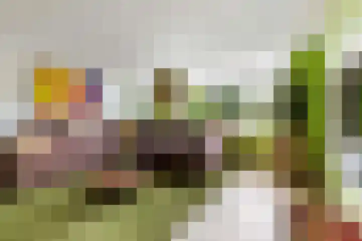 Hertenkampsweg 22 Vaassen thumbnail 28