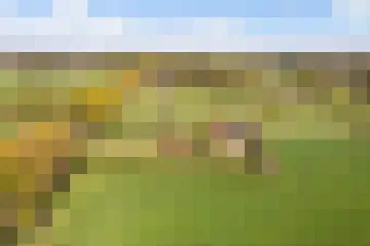 Hertenkampsweg 22 Vaassen foto 3