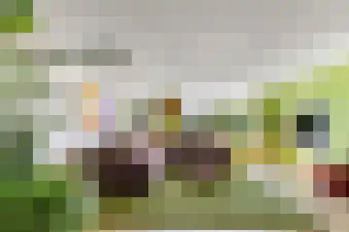 Hertenkampsweg 22 Vaassen thumbnail 30