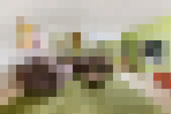 Hertenkampsweg 22 Vaassen thumbnail 32