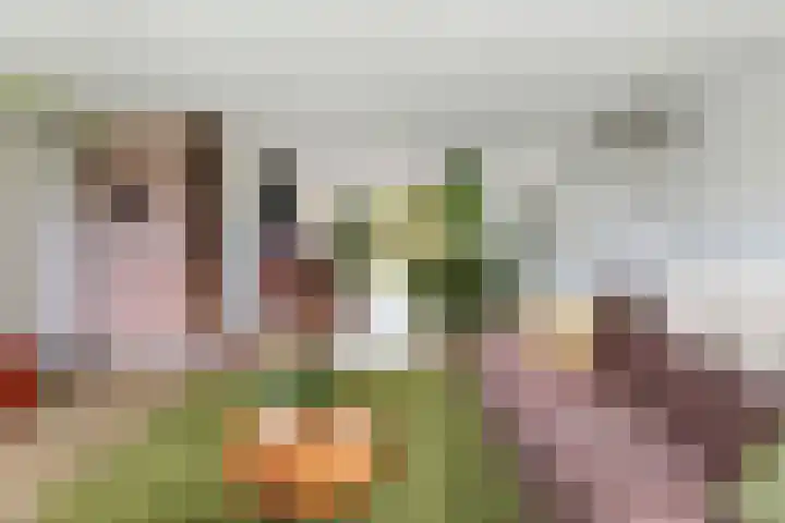 Hertenkampsweg 22 Vaassen thumbnail 34