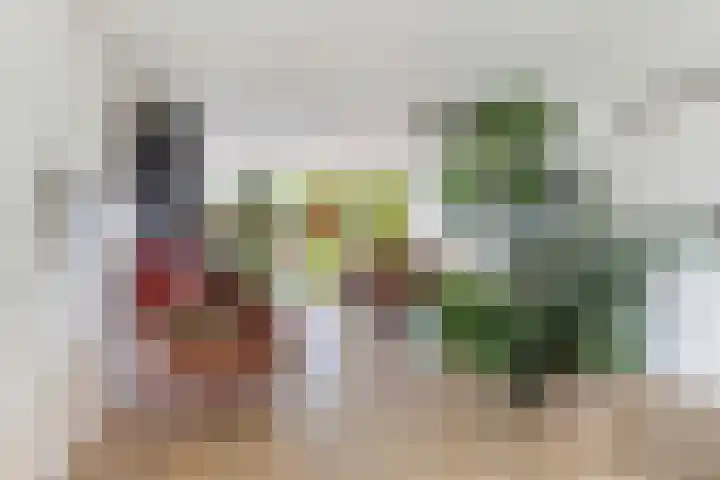 Hertenkampsweg 22 Vaassen thumbnail 35