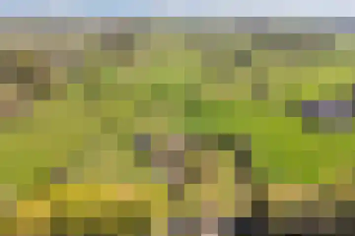 Hertenkampsweg 22 Vaassen thumbnail 5