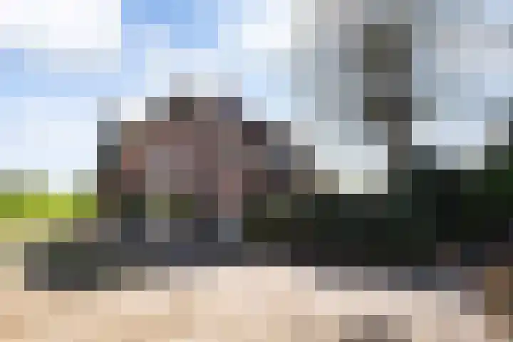 Hertenkampsweg 22 Vaassen thumbnail 57