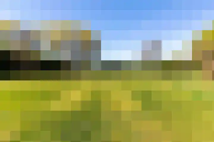 Hertenkampsweg 22 Vaassen thumbnail 59