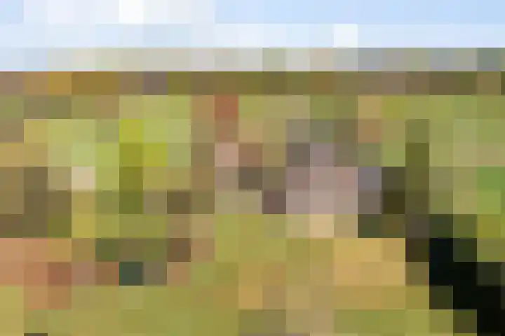 Hertenkampsweg 22 Vaassen thumbnail 6