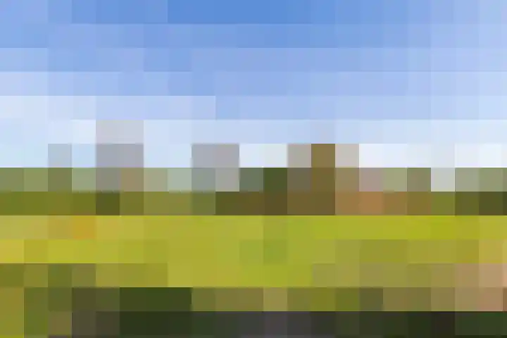 Hertenkampsweg 22 Vaassen thumbnail 60