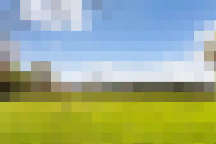 Hertenkampsweg 22 Vaassen thumbnail 61