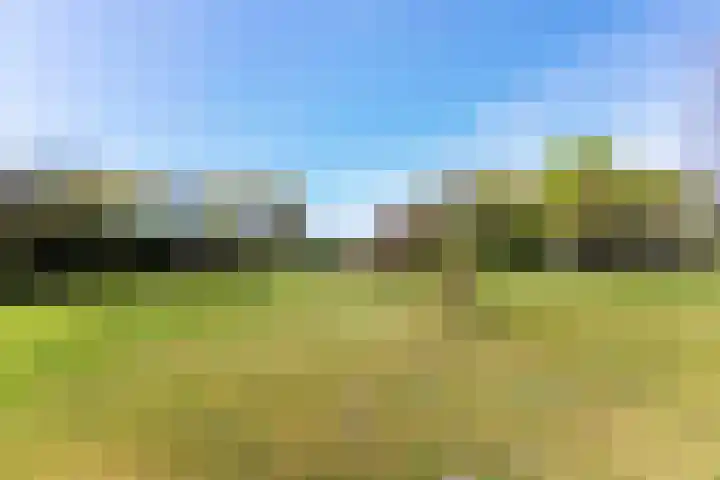 Hertenkampsweg 22 Vaassen thumbnail 62