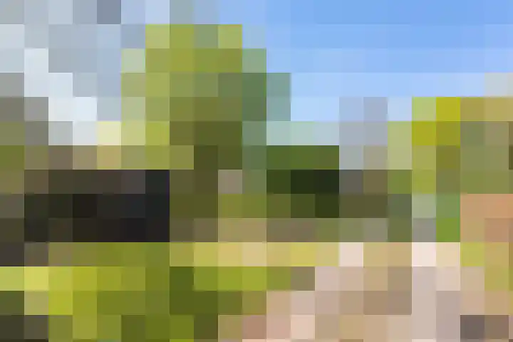 Hertenkampsweg 22 Vaassen thumbnail 63