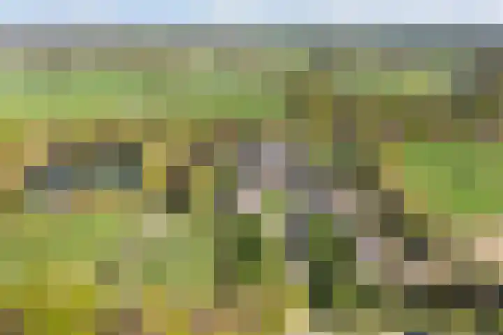 Hertenkampsweg 22 Vaassen thumbnail 64