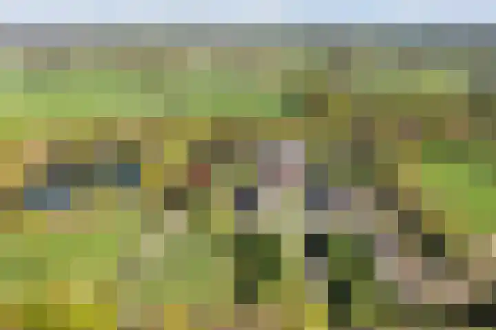 Hertenkampsweg 22 Vaassen thumbnail 65