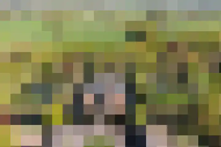 Hertenkampsweg 22 Vaassen thumbnail 66