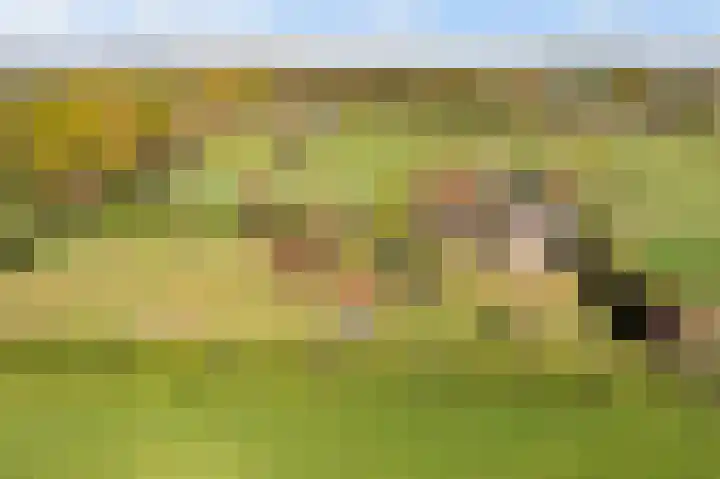 Hertenkampsweg 22 Vaassen thumbnail 67