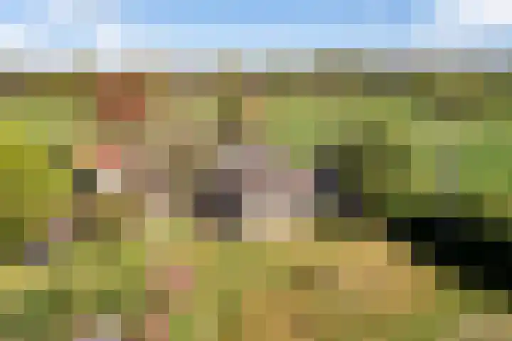 Hertenkampsweg 22 Vaassen thumbnail 7