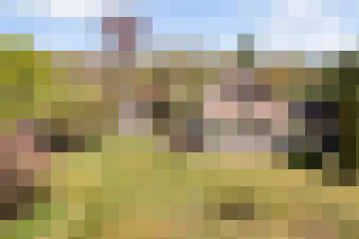 Hertenkampsweg 22 Vaassen thumbnail 8