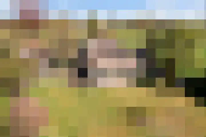 Hertenkampsweg 22 Vaassen thumbnail 9