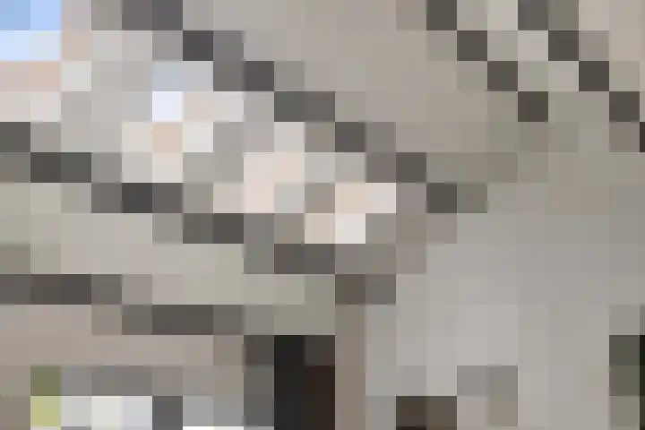 Hertenkruid 38 Nieuwerkerk aan den IJssel thumbnail 10