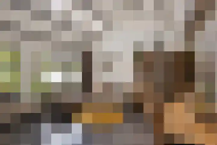 Hertenkruid 38 Nieuwerkerk aan den IJssel thumbnail 11