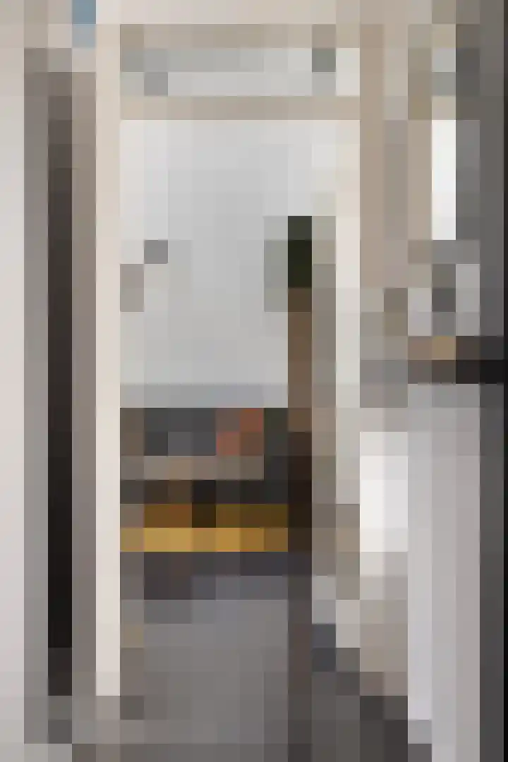 Hertenkruid 38 Nieuwerkerk aan den IJssel thumbnail 13