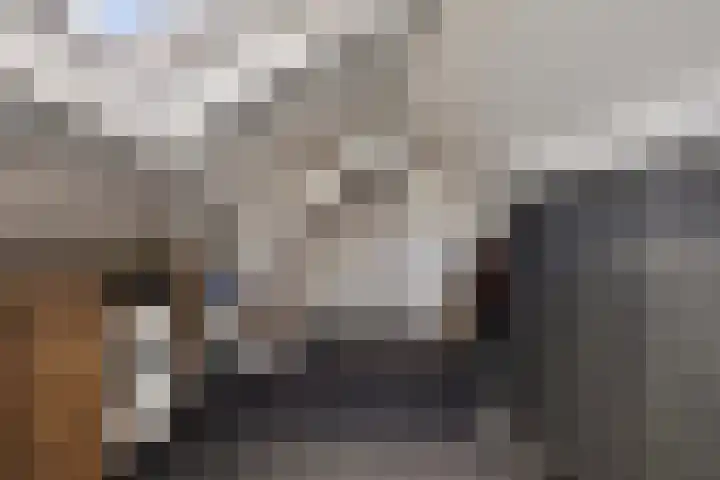 Hertenkruid 38 Nieuwerkerk aan den IJssel thumbnail 19