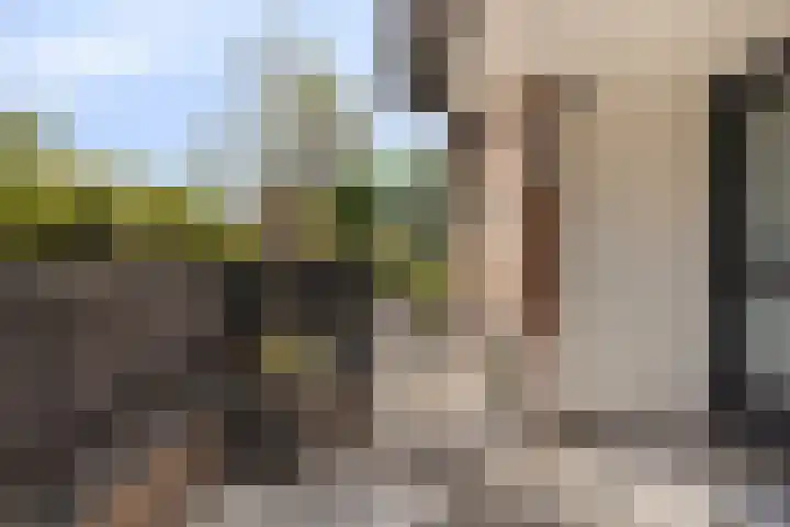 Hertenkruid 38 Nieuwerkerk aan den IJssel thumbnail 22