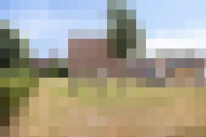 Hertenkruid 38 Nieuwerkerk aan den IJssel thumbnail 29