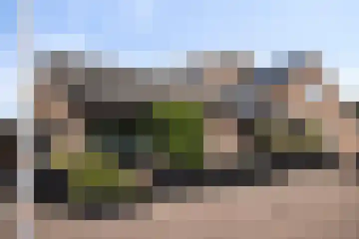 Hertenkruid 38 Nieuwerkerk aan den IJssel thumbnail 34