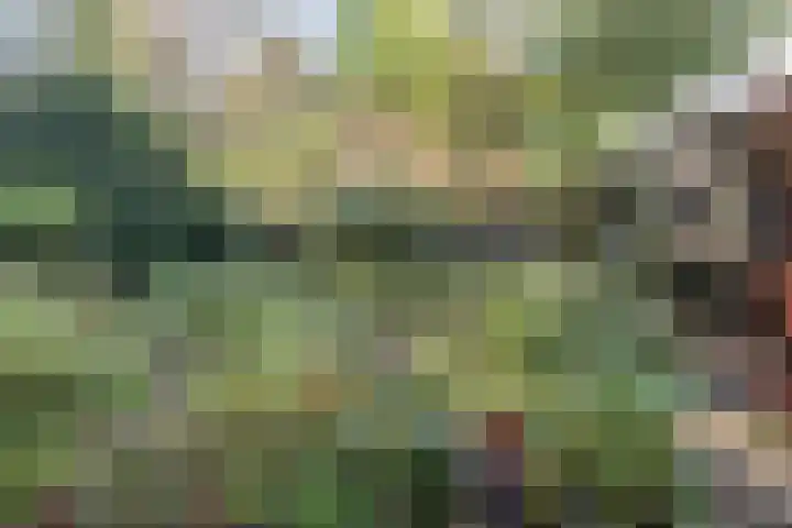 Hertenlaan 1 Maarn thumbnail 31