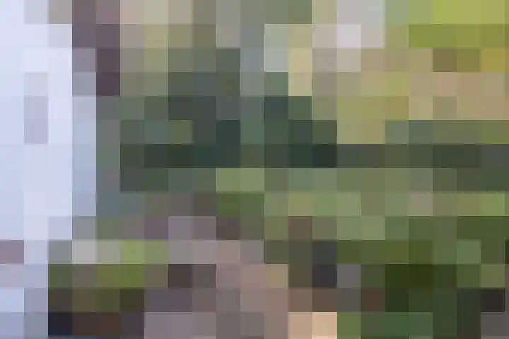 Hertenlaan 1 Maarn thumbnail 34