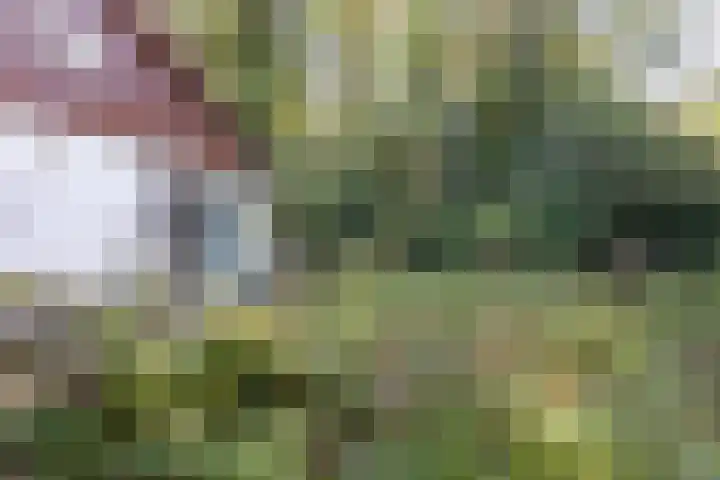 Hertenlaan 1 Maarn thumbnail 35