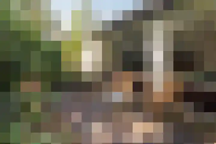 Hertenlaan 1 Maarn thumbnail 37