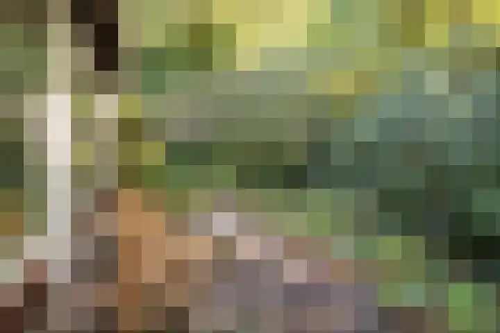 Hertenlaan 1 Maarn thumbnail 38