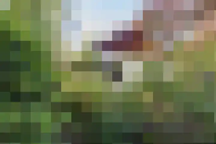Hertenlaan 1 Maarn thumbnail 39