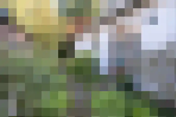 Hertenlaan 1 Maarn thumbnail 40