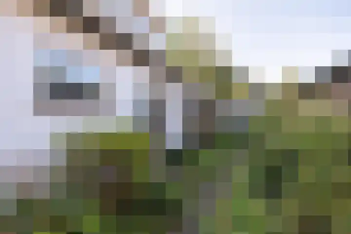 Hertenlaan 1 Maarn thumbnail 41