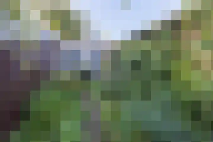 Hertenlaan 1 Maarn thumbnail 42