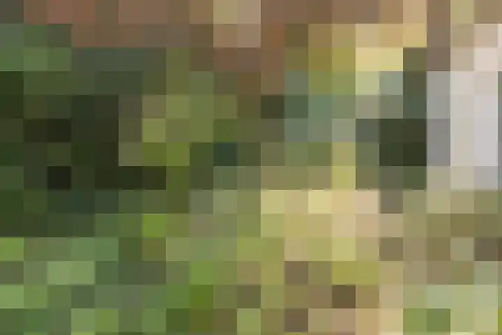 Hertenlaan 1 Maarn thumbnail 44