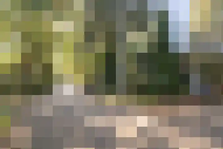 Hertenlaan 1 Maarn thumbnail 46