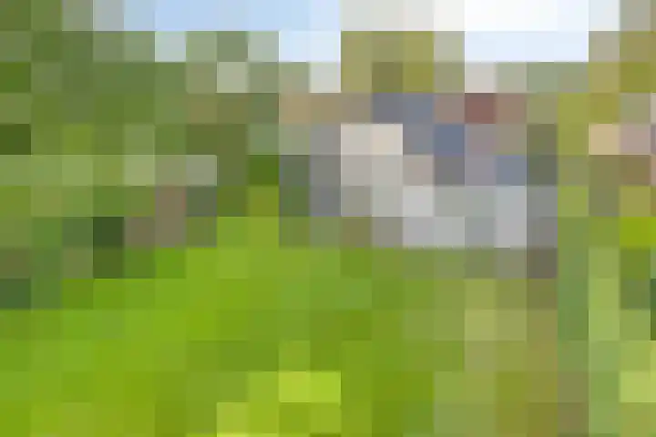 Hertenlaan 14 Silvolde foto 2