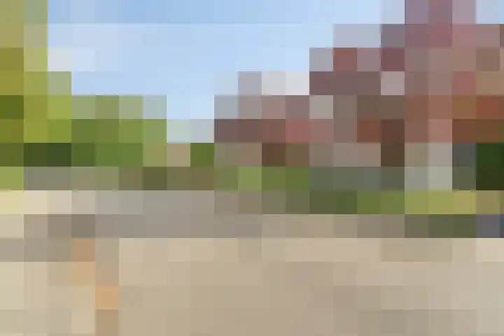 Hertenlaan 14 Silvolde foto 3
