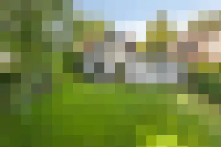 Hertenlaan 14 Silvolde thumbnail 30