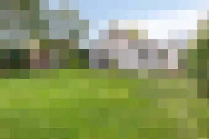 Hertenlaan 14 Silvolde thumbnail 31