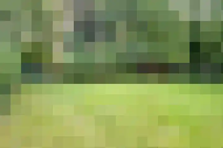 Hertenlaan 14 Silvolde thumbnail 34