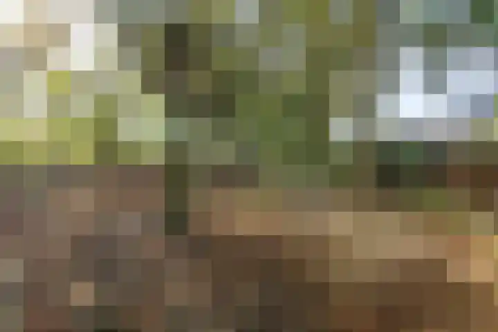 Hertenlaan 14 Silvolde thumbnail 35