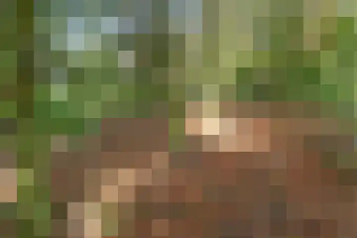 Hertenlaan 14 Silvolde thumbnail 36