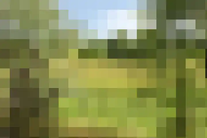 Hertenlaan 14 Silvolde thumbnail 37