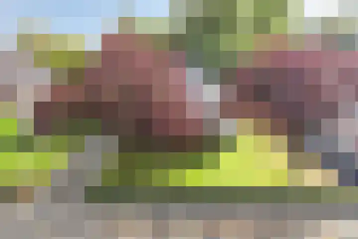 Hertenlaan 14 Silvolde thumbnail 39