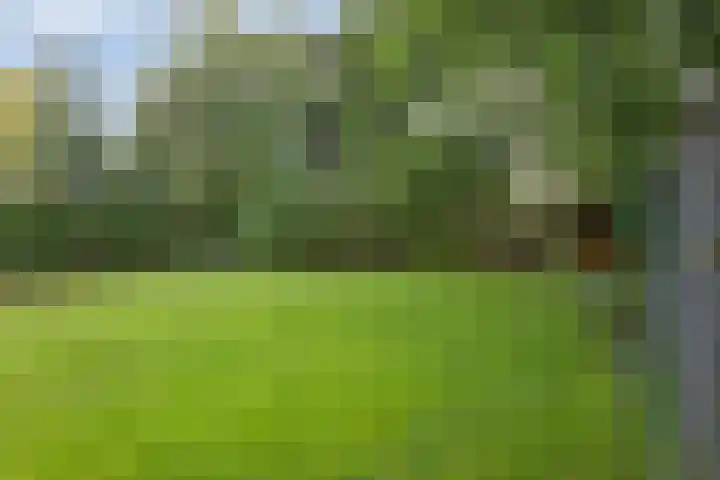 Hertenlaan 14 Silvolde thumbnail 4